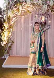 Dia Mirza Wedding photos 3